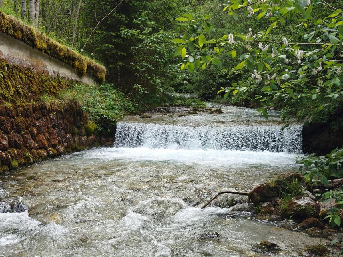 Landl Idyllic Mountain Huette -Gesaeuse Nationalpark别墅 外观 照片