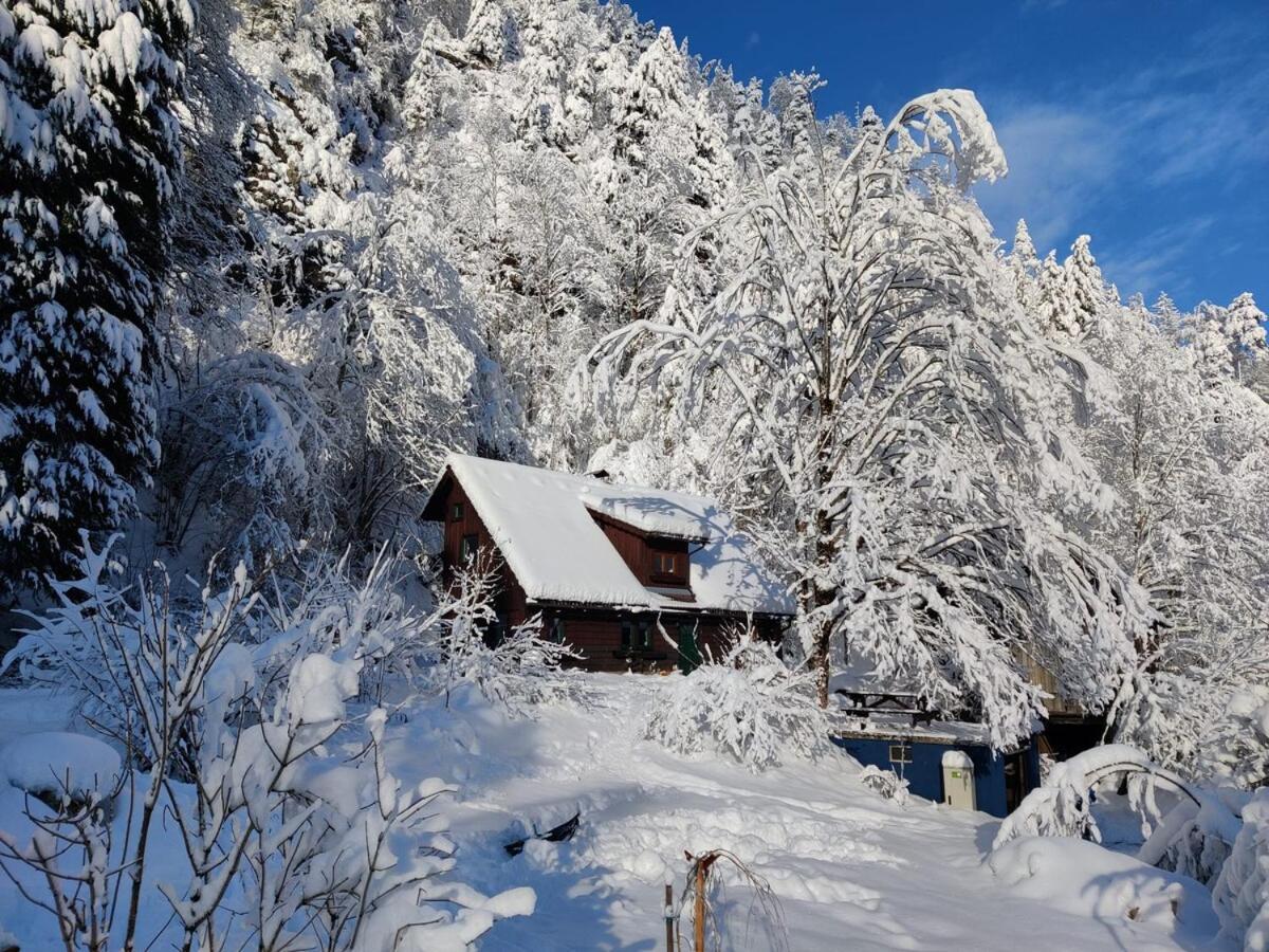 Landl Idyllic Mountain Huette -Gesaeuse Nationalpark别墅 外观 照片