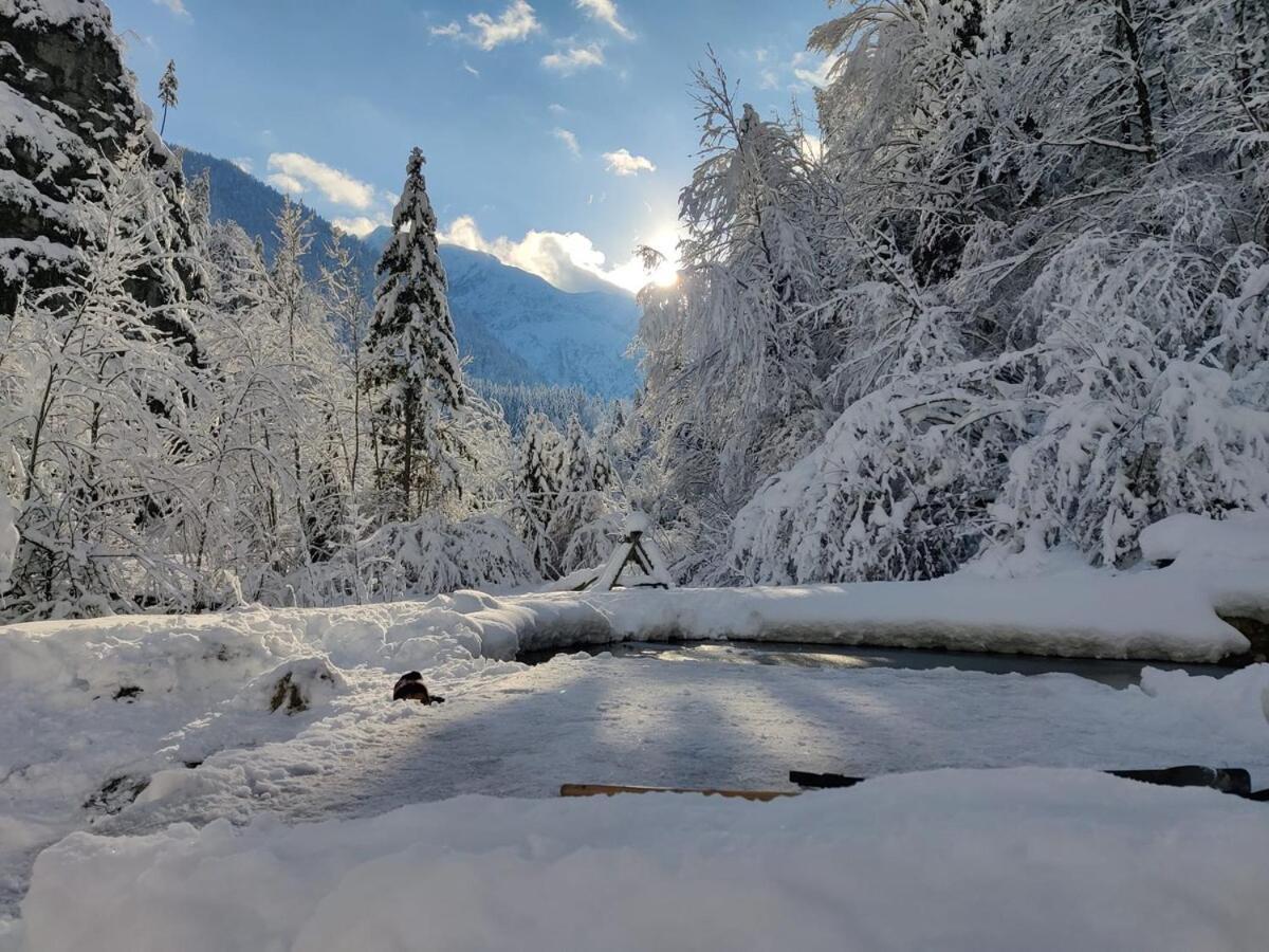 Landl Idyllic Mountain Huette -Gesaeuse Nationalpark别墅 外观 照片
